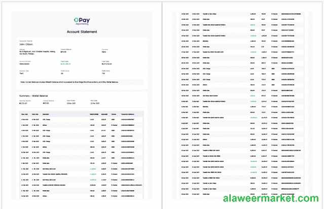 Nigeria Opay account statement Word and PDF template, 2 pages
